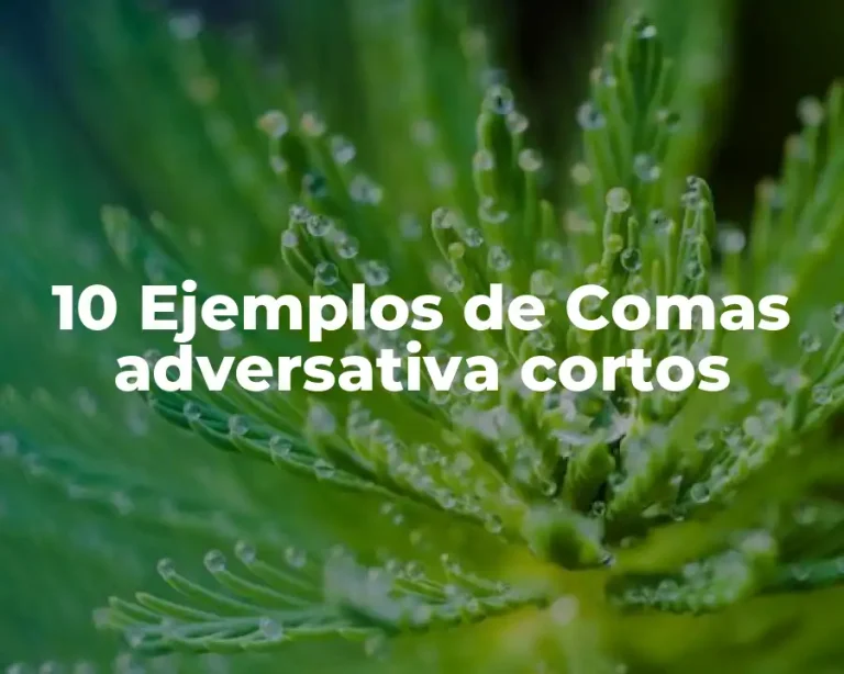 10 Ejemplos de Comas adversativa cortos