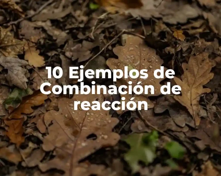 10 Ejemplos de Combinación de reacción