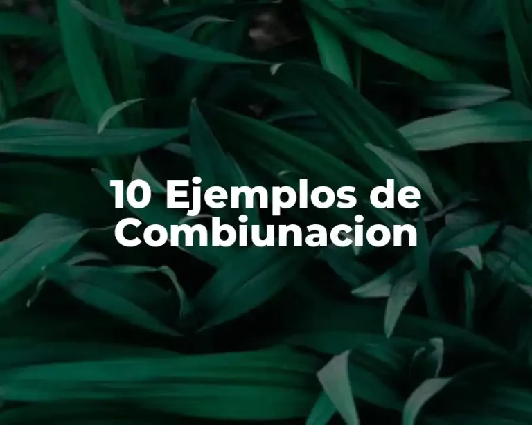 10 Ejemplos de Combiunacion