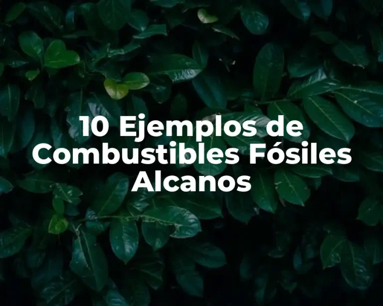 10 Ejemplos de Combustibles Fósiles Alcanos