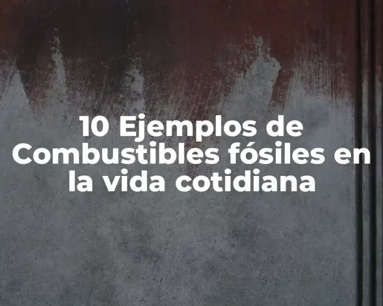 10 Ejemplos de Combustibles fósiles en la vida cotidiana