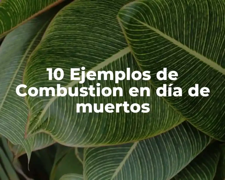 10 Ejemplos de Combustion en día de muertos