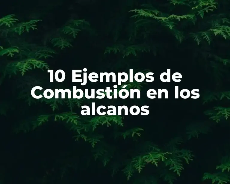 10 Ejemplos de Combustión en los alcanos