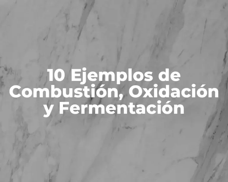 10 Ejemplos de Combustión, Oxidación y Fermentación