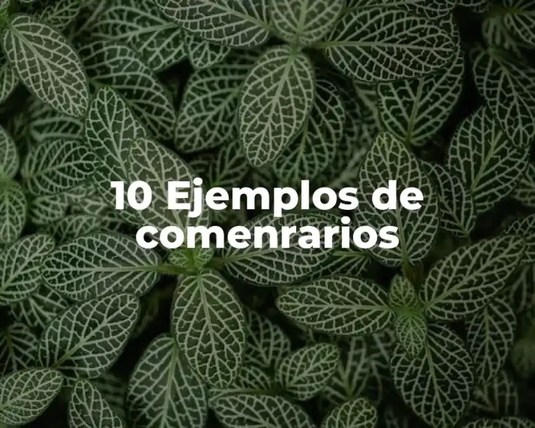 10 Ejemplos de comenrarios