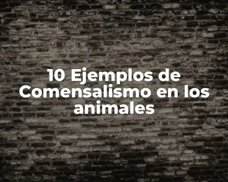 10 Ejemplos de Comensalismo en los animales