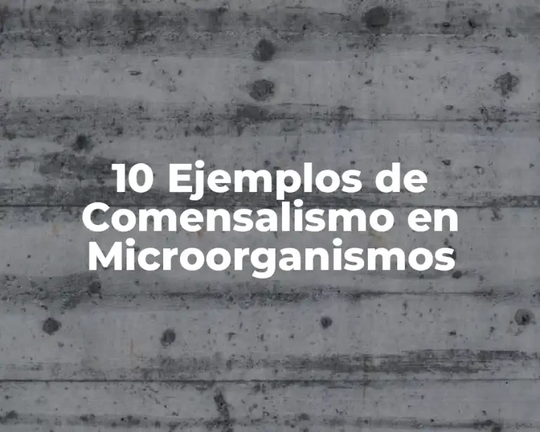 10 Ejemplos de Comensalismo en Microorganismos