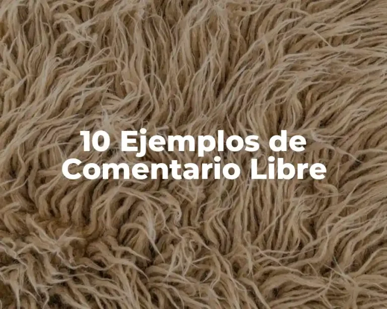 10 Ejemplos de Comentario Libre