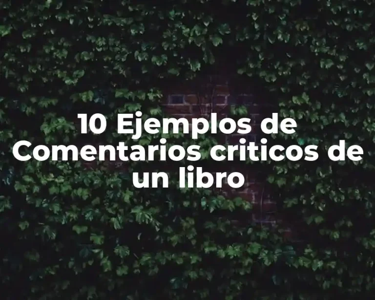 10 Ejemplos de Comentarios criticos de un libro