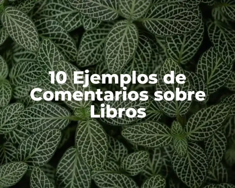 10 Ejemplos de Comentarios sobre Libros