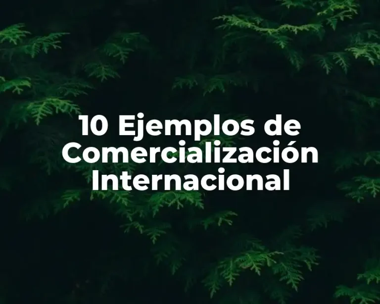 10 Ejemplos de Comercialización Internacional