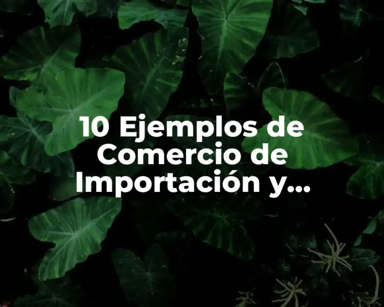 10 Ejemplos de Comercio de Importación y Exportación y Balanza Comercial