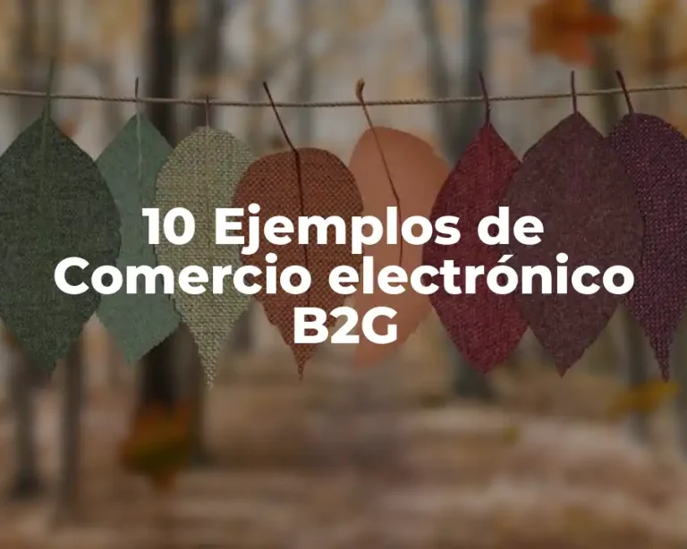 10 Ejemplos de Comercio electrónico B2G