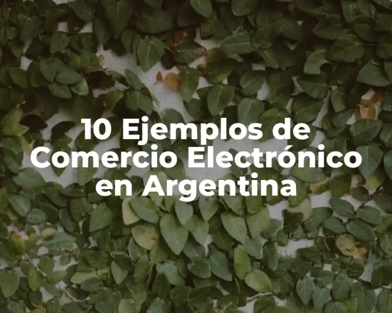 10 Ejemplos de Comercio Electrónico en Argentina