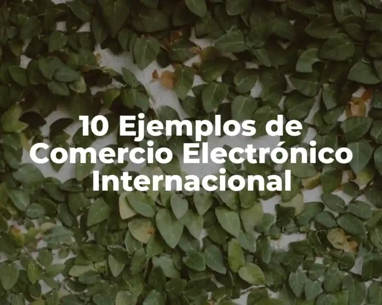 10 Ejemplos de Comercio Electrónico Internacional