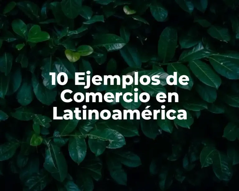 10 Ejemplos de Comercio en Latinoamérica