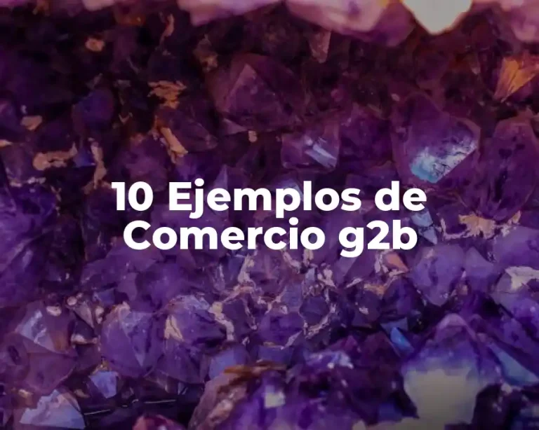 10 Ejemplos de Comercio g2b