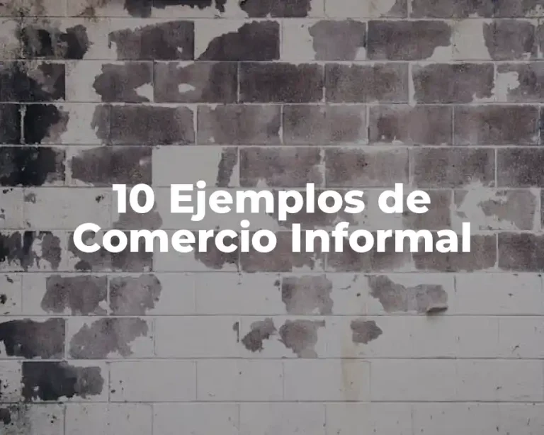 10 Ejemplos de Comercio Informal