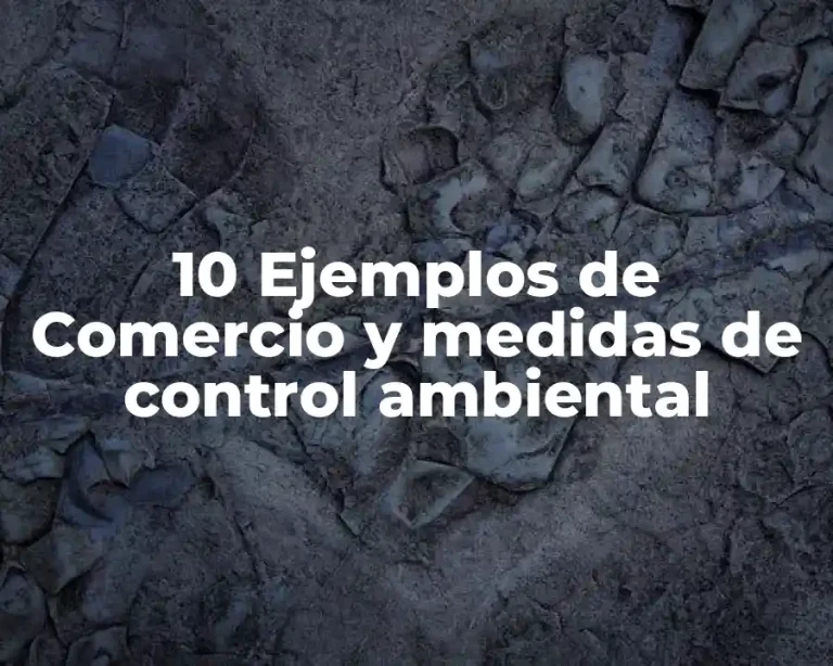 10 Ejemplos de Comercio y medidas de control ambiental