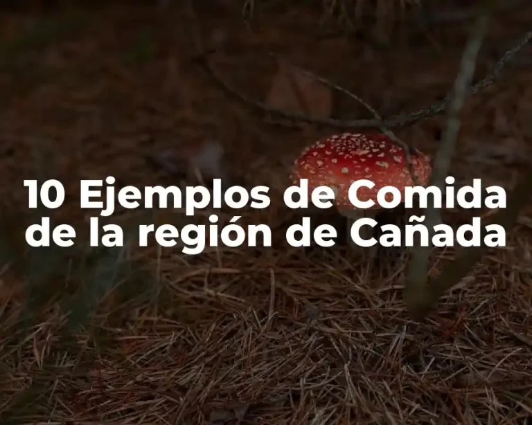 10 Ejemplos de Comida de la región de Cañada