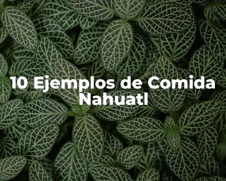 10 Ejemplos de Comida Nahuatl