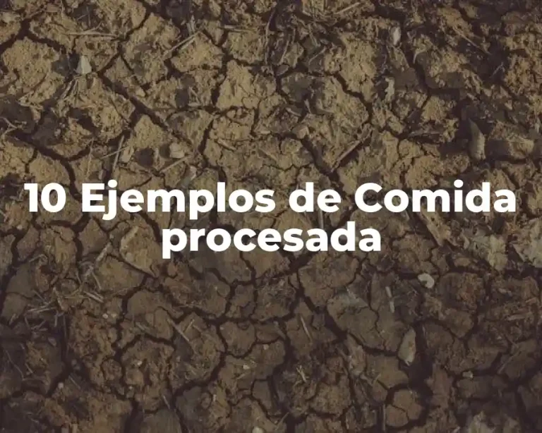 10 Ejemplos de Comida procesada