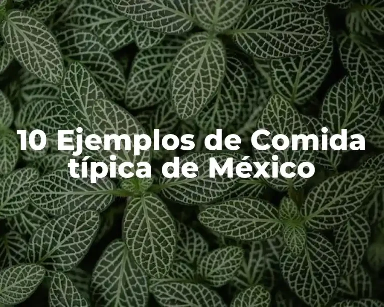 10 Ejemplos de Comida típica de México