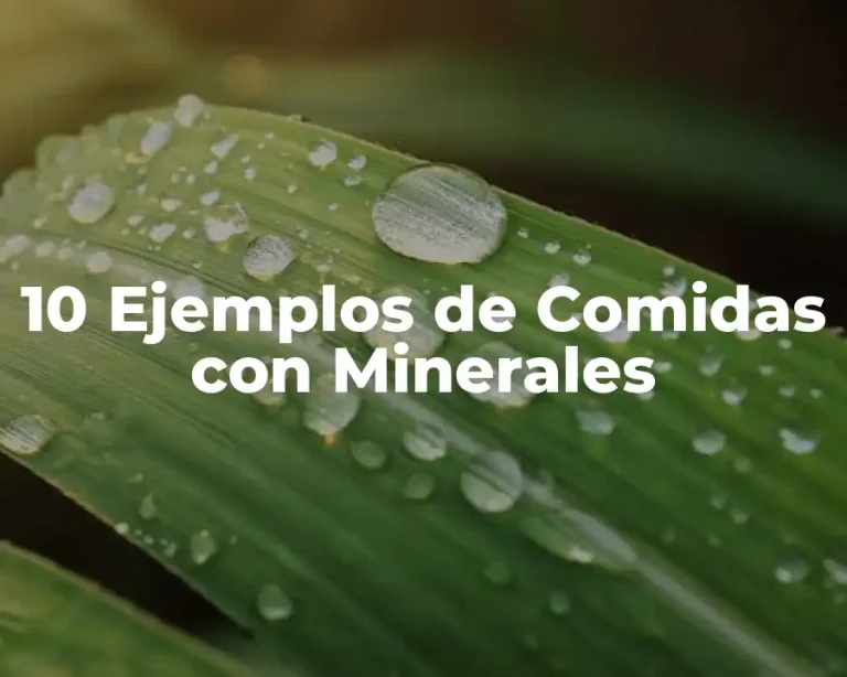 10 Ejemplos de Comidas con Minerales