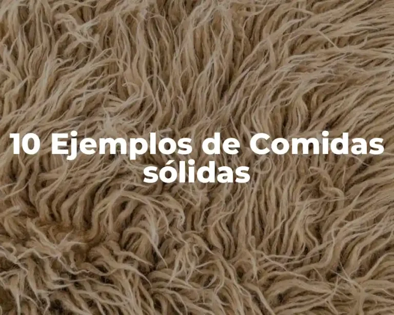 10 Ejemplos de Comidas sólidas