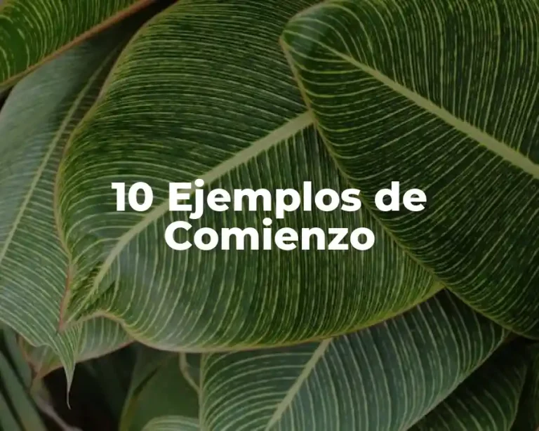 10 Ejemplos de Comienzo