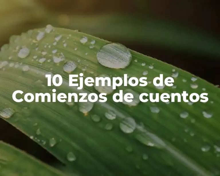 10 Ejemplos de Comienzos de cuentos