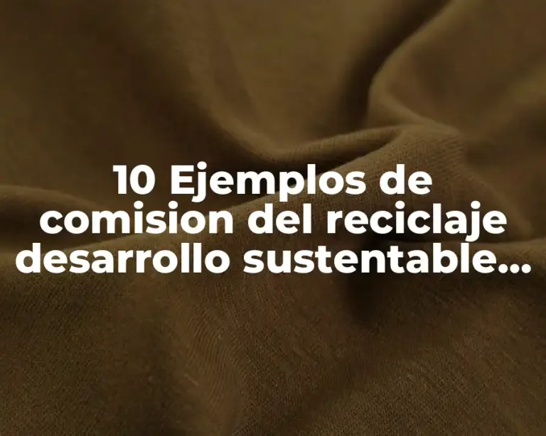 10 Ejemplos de comision del reciclaje desarrollo sustentable nivel secundaria