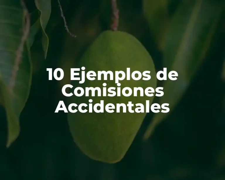 10 Ejemplos de Comisiones Accidentales