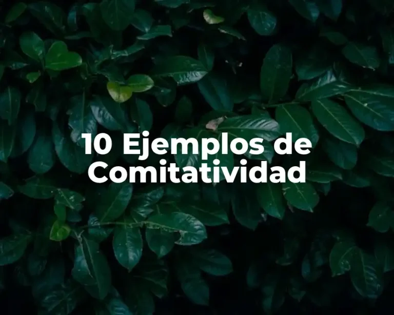 10 Ejemplos de Comitatividad