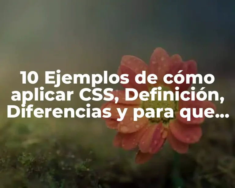 10 Ejemplos de cómo aplicar CSS, Definición, Diferencias y para que sirve