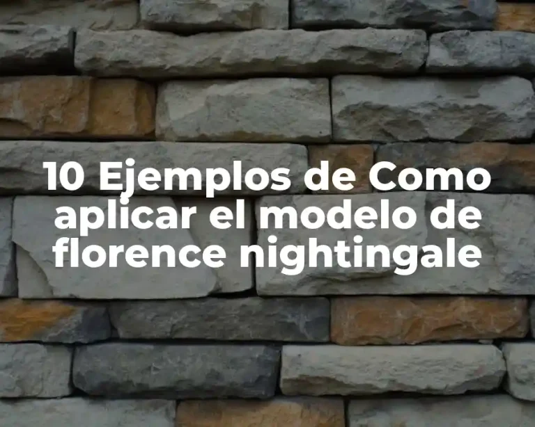 10 Ejemplos de Como aplicar el modelo de florence nightingale