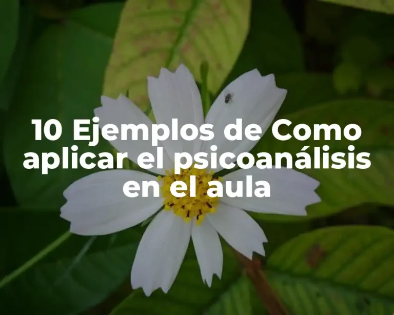 10 Ejemplos de Como aplicar el psicoanálisis en el aula