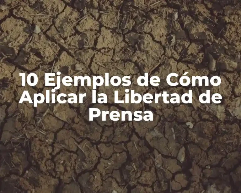 10 Ejemplos de Cómo Aplicar la Libertad de Prensa