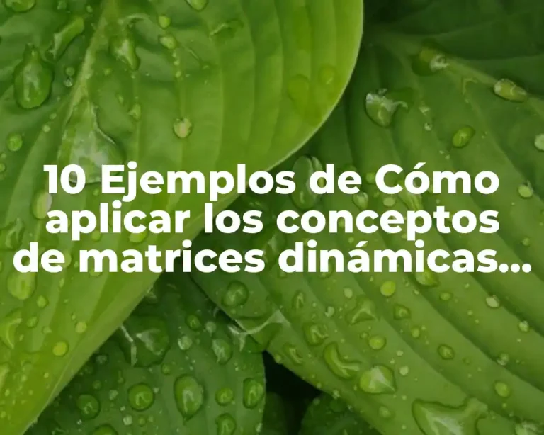 10 Ejemplos de Cómo aplicar los conceptos de matrices dinámicas en programación para resolver problemas de manejo de datos en Dev C++, Definición, Diferencias y para que sirve