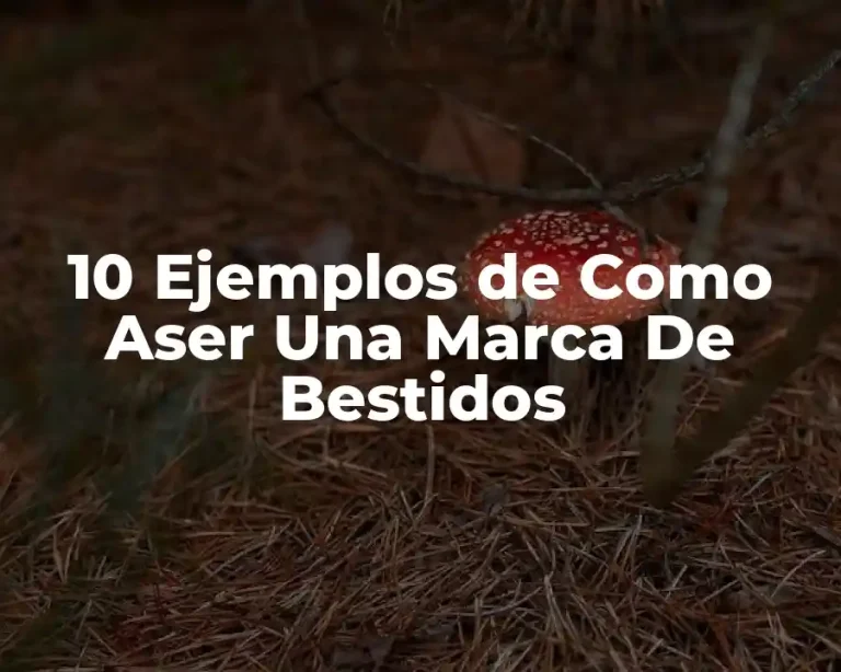 10 Ejemplos de Como Aser Una Marca De Bestidos