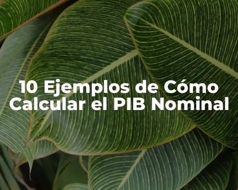 10 Ejemplos de Cómo Calcular el PIB Nominal