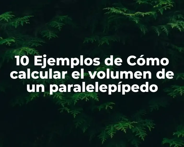 10 Ejemplos de Cómo calcular el volumen de un paralelepípedo