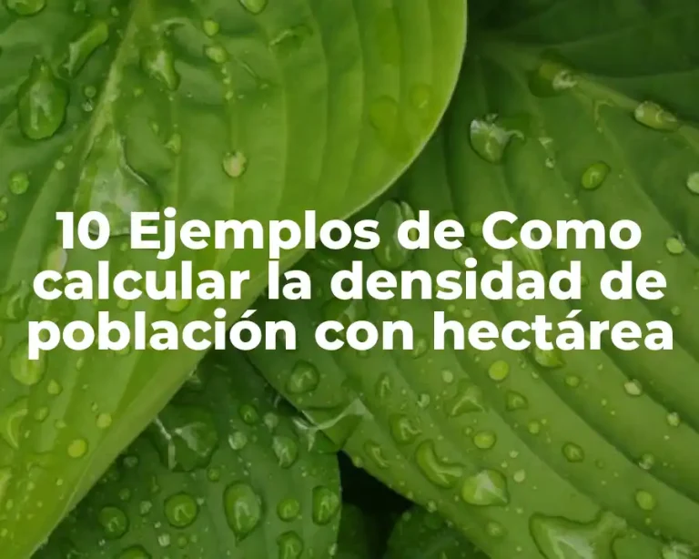 10 Ejemplos de Como calcular la densidad de población con hectárea