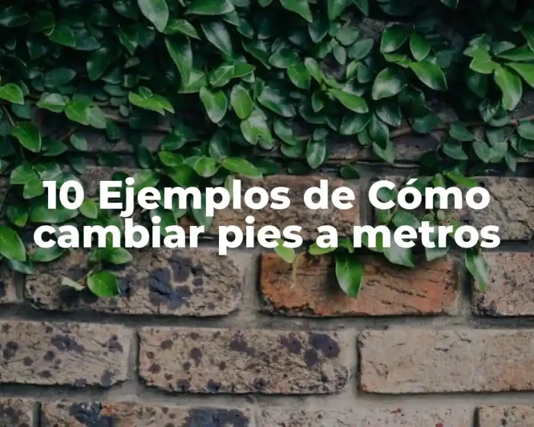 10 Ejemplos de Cómo cambiar pies a metros
