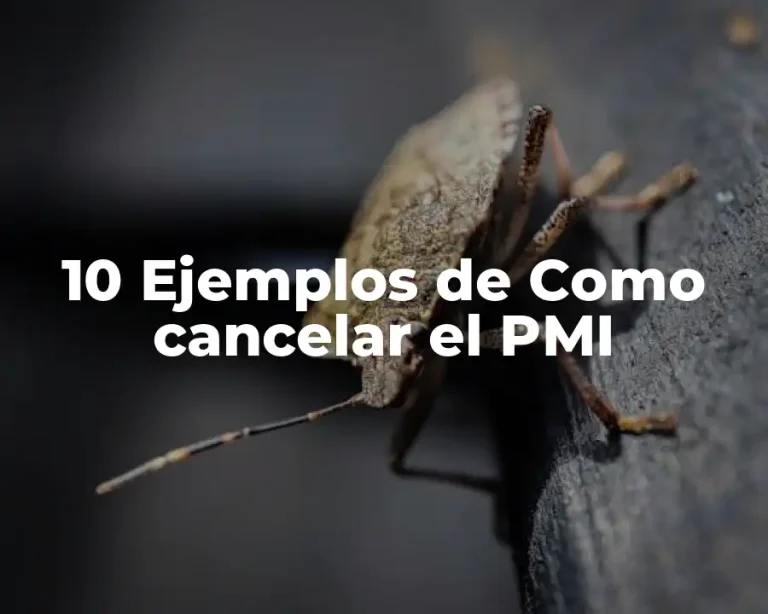 10 Ejemplos de Como cancelar el PMI