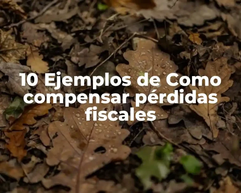 10 Ejemplos de Como compensar pérdidas fiscales
