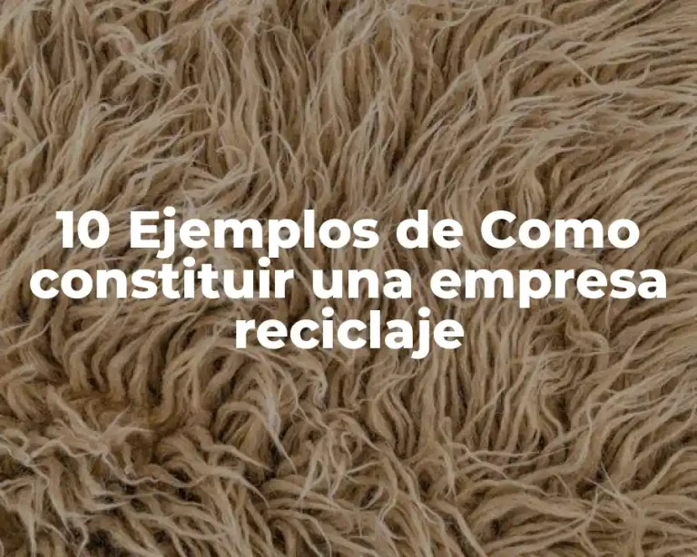 10 Ejemplos de Como constituir una empresa reciclaje