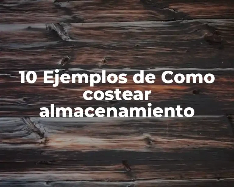 10 Ejemplos de Como costear almacenamiento