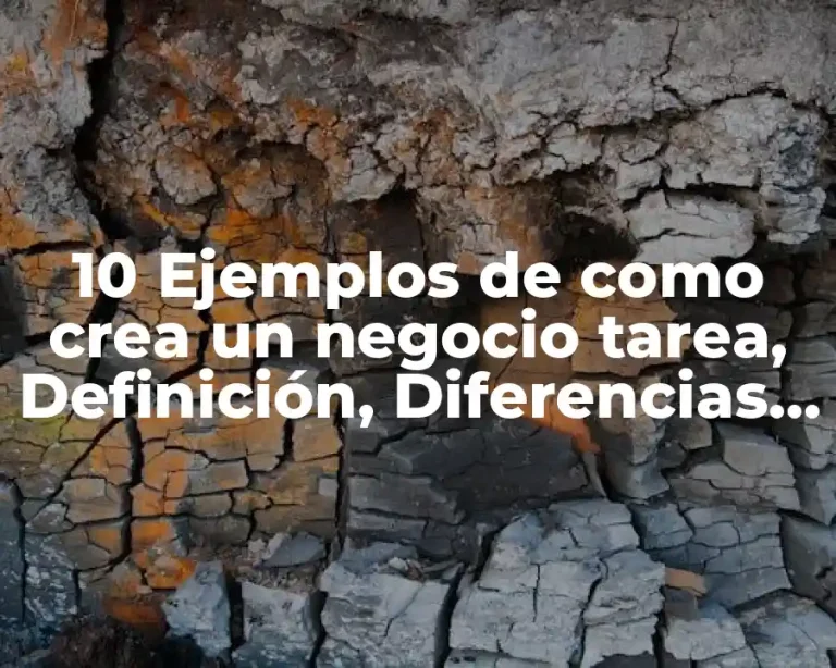 10 Ejemplos de como crea un negocio tarea, Definición, Diferencias y para que sirve
