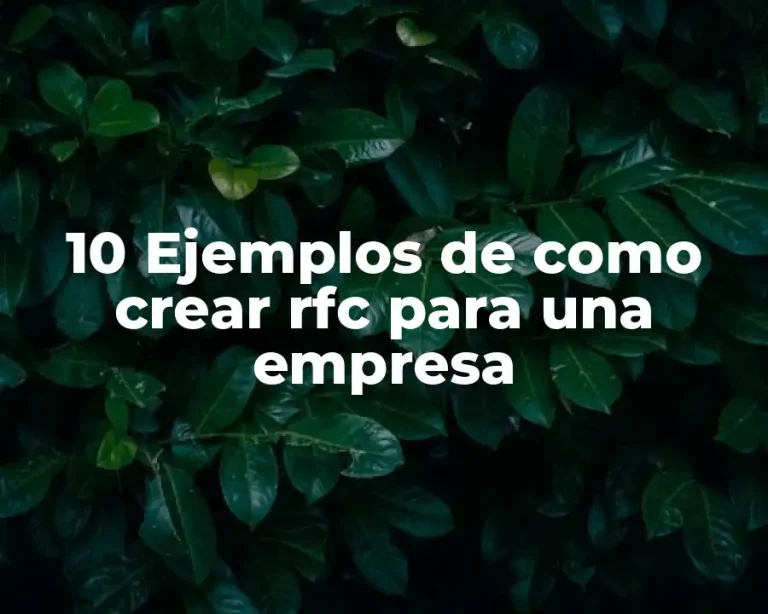 10 Ejemplos de como crear rfc para una empresa